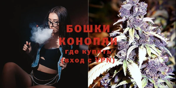 PSILOCYBIN Михайлов