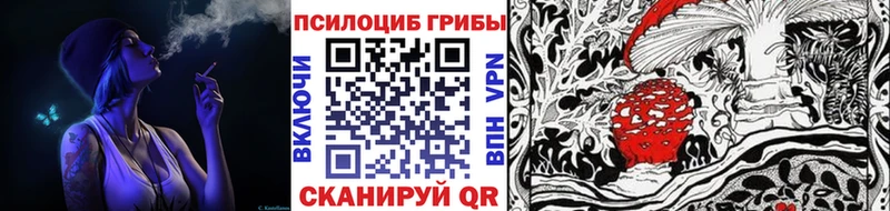 Псилоцибиновые грибы Psilocybine cubensis  Приморско-Ахтарск 