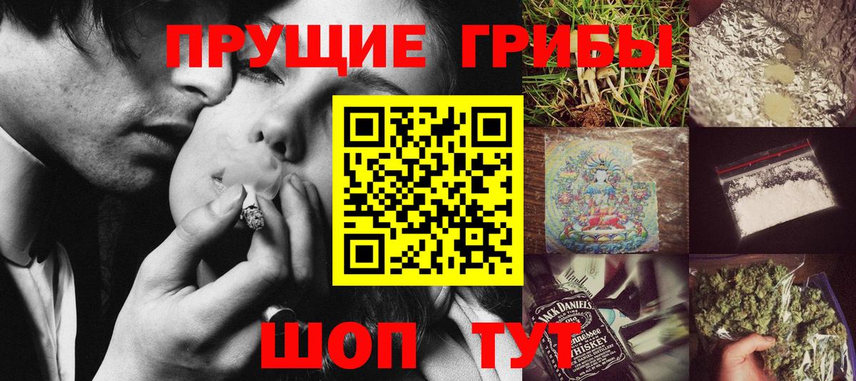 Галлюциногенные грибы Psilocybe Приморско-Ахтарск