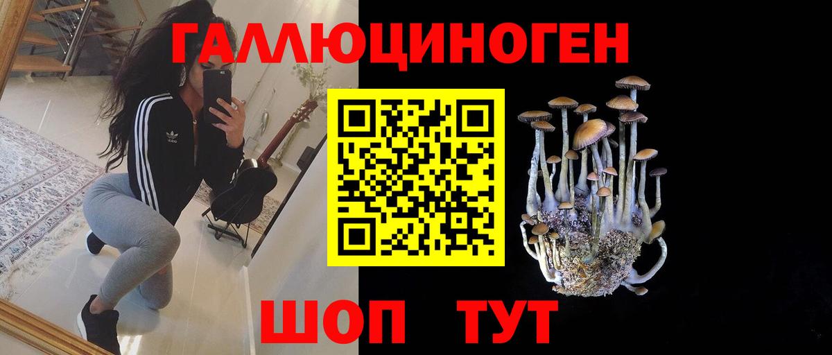 Псилоцибиновые грибы GOLDEN TEACHER Приморско-Ахтарск