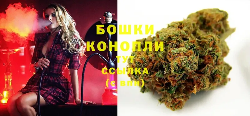 Конопля SATIVA & INDICA  Приморско-Ахтарск 